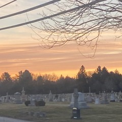 Untitled 52 - 8:16:24, 12.36 AM