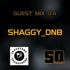 Guest Mix 04: Shaggy_DnB
