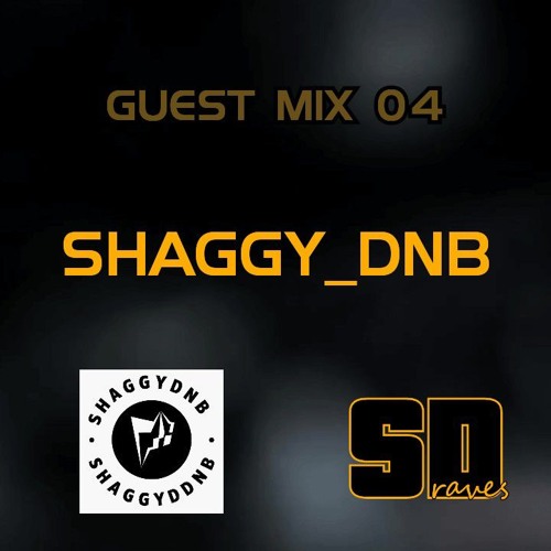 Guest Mix 04: Shaggy_DnB