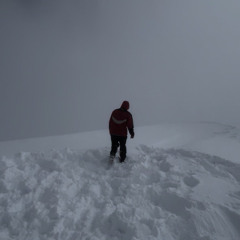 что мне нужно?