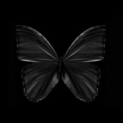 Papillon ( prod Daiki )