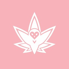 Oldies (2013 - 2018)