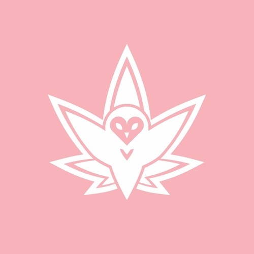 Oldies (2013 - 2018)