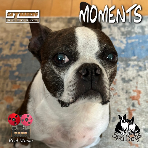 Moments (with Wally)