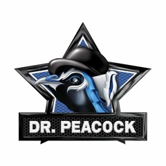 Dr. Peacock & Stormtrooper - A500
