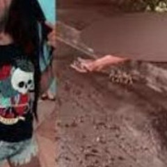 New**!! portal do zacarias lenita silva caso lenita portal zacarias portal zacarias lenita