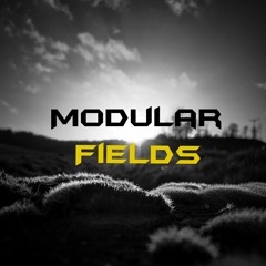Modular fields