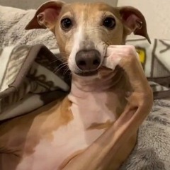 Jordy C & Jayhillbebi - Headlines