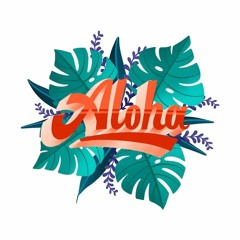 Aloha REC - 2024 - 02 - 06