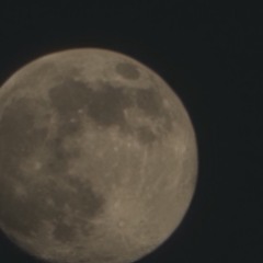 Moonlight Aint Enough .mp3