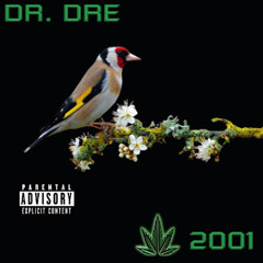 Still Dre - Dr Dre, Snoop Dogg - sheGoal47