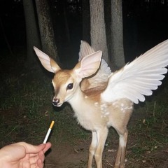Phangrab / Forest Child