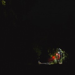 HIDDEN FT. HOME GENESIS (P.HAVI)