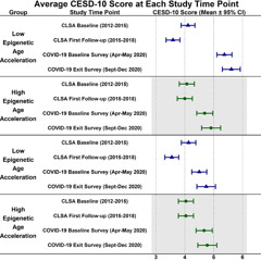 Younger Biological Age May Increase Depression Risk in Older Women During COVID-19