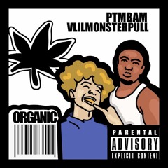 Ptmbam ft. Vlilmonsterpull - Organic