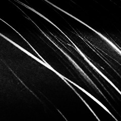 Between Past and Future Chap. 2