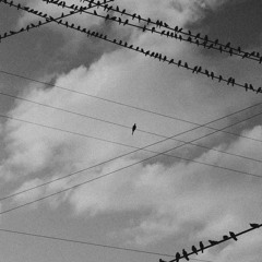 113 - Анхилуун