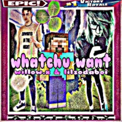 lil soda boi & willow.x - whatchu want [+killcrypt]
