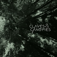 Claves & Canopies w/ Danny Varley - 04.07.20