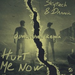 Skytech & Dannic - Hurt Me Now (Tropical x DJMatthew Remix)