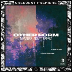 PREMIERE: Other Form - Adapt (Distant Echoes Remix) [FS012]