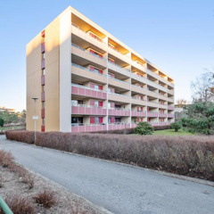 VIDAR KLEPTO X 36 BARS (DEMO 10.11.2025)