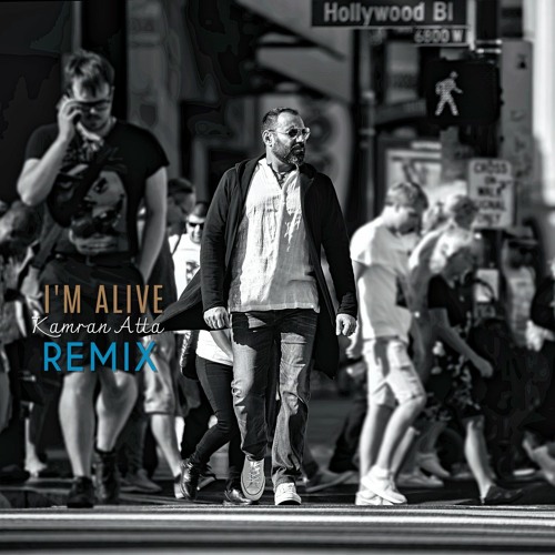 Im Alive Remix