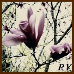 Body On Fire Master V1.8