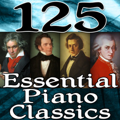 Piano Sonata No. 8 in A minor, K. 310, II. Andante