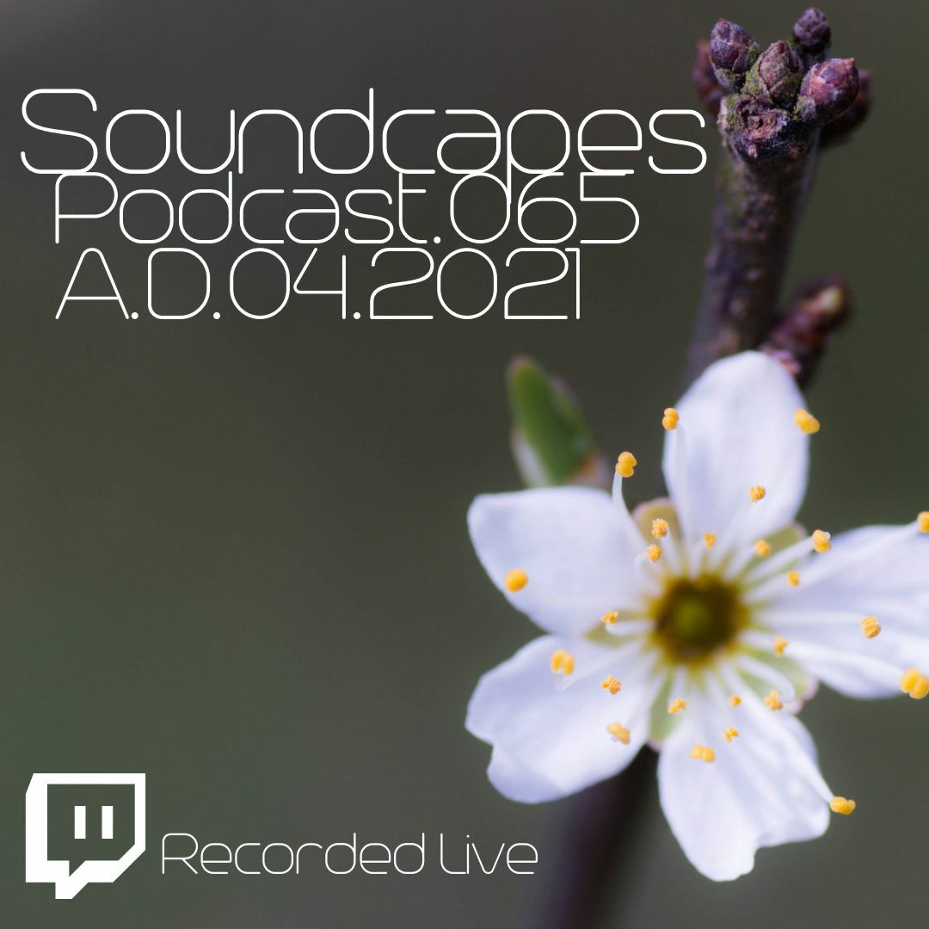 Soundscapes Podcast