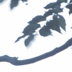 run beside the light