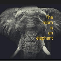 The room is an elephant
