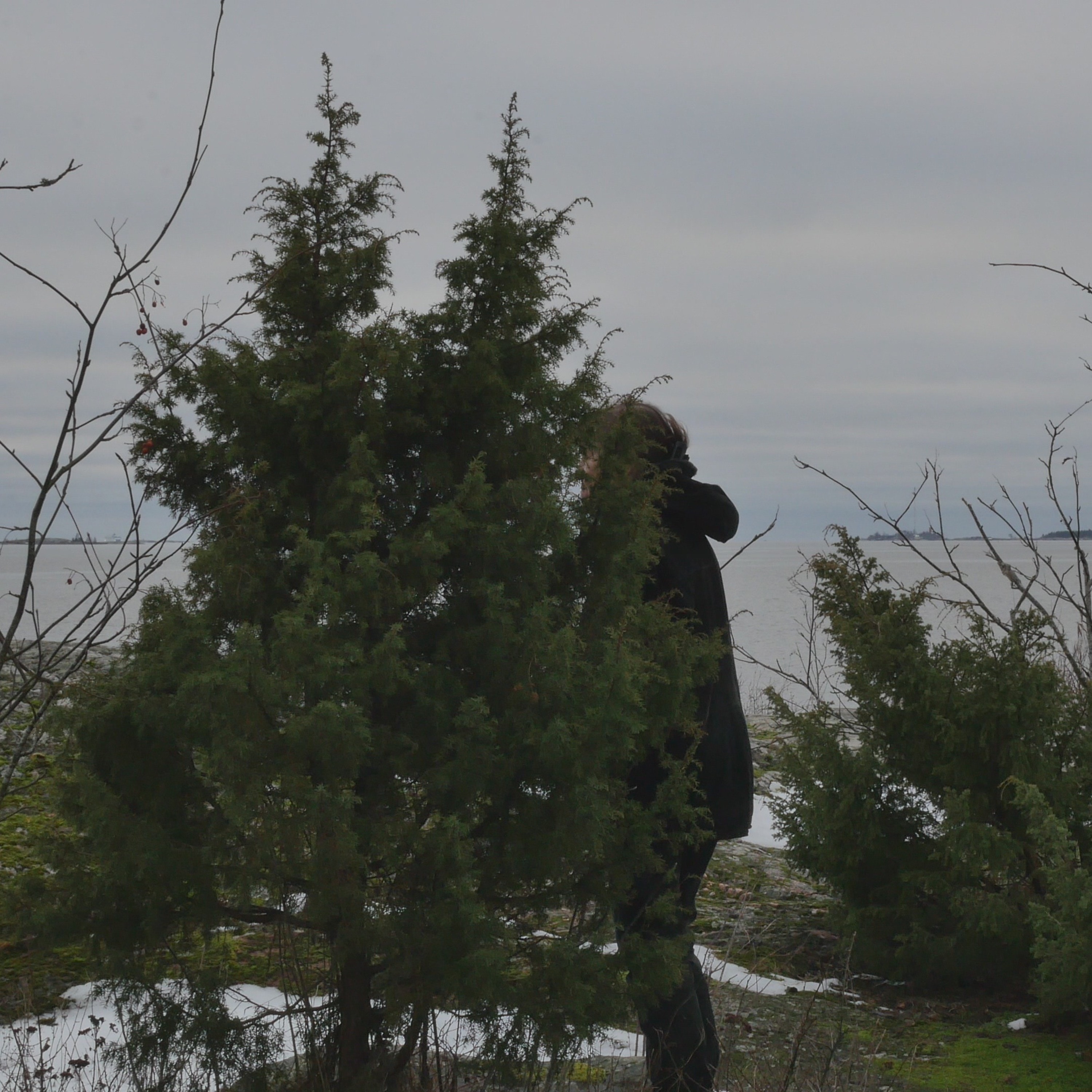 With The Juniper In Suomenlinna - 1 episode artwork