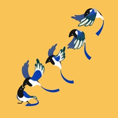 Più Della Tua Sola Forma