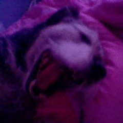 Halloween Gyp Gyp style