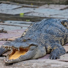 Rave Energy - Joy Ride 82