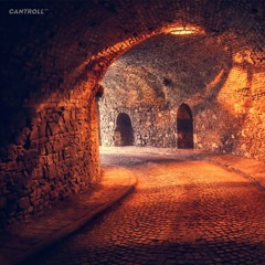 Ogi Feel the Beat - The Next (Preview Track CNTRLL148)