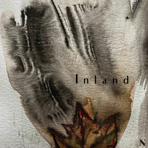 Nachtblumen Podcast #9 Inland