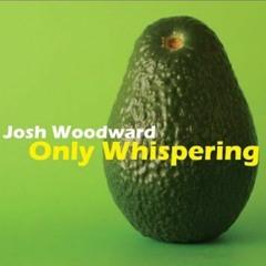 Josh Woodward - Say Goodbye to Spring