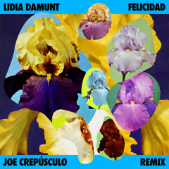 Felicidad (Joe Crepúsculo Remix)