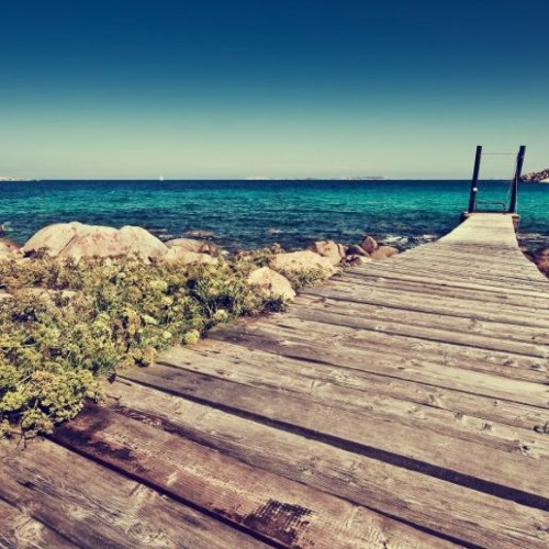 Afghans, background cover 🐂FREE DOWNLOAD