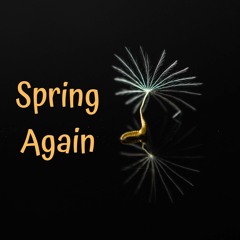 Spring Again (Val Akey & Szabolcs Kontra collab)