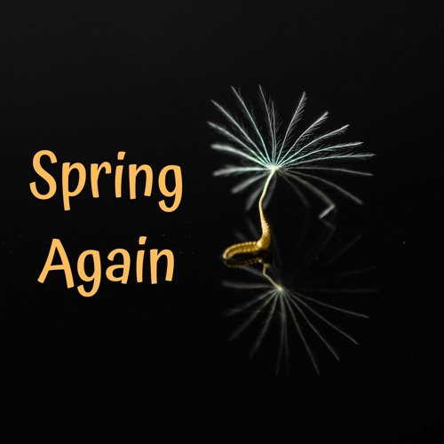 Spring Again (Val Akey & Szabolcs Kontra collab)