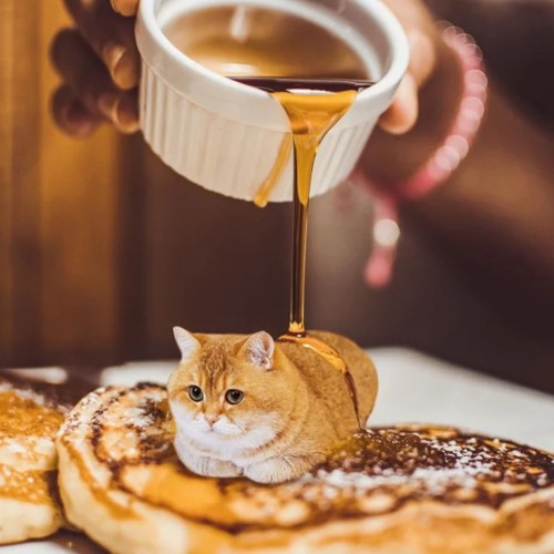 daspyte & byocmal back2basics nineslay