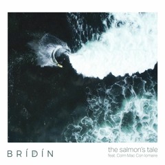 The Salmon's Tale Feat. Colm Mac Con Iomaire