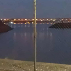 2019 fina elektronika