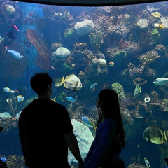 shine a little light