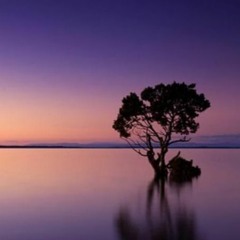 My Groove Your Move 3 (Part 1) - Rory McComish (Playlist 1)