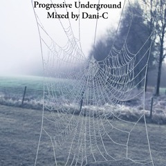 Dani-C - Progressive Underground @ Proton Radio 067 [Dec] 2020