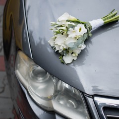 Опіки - KRYLATA